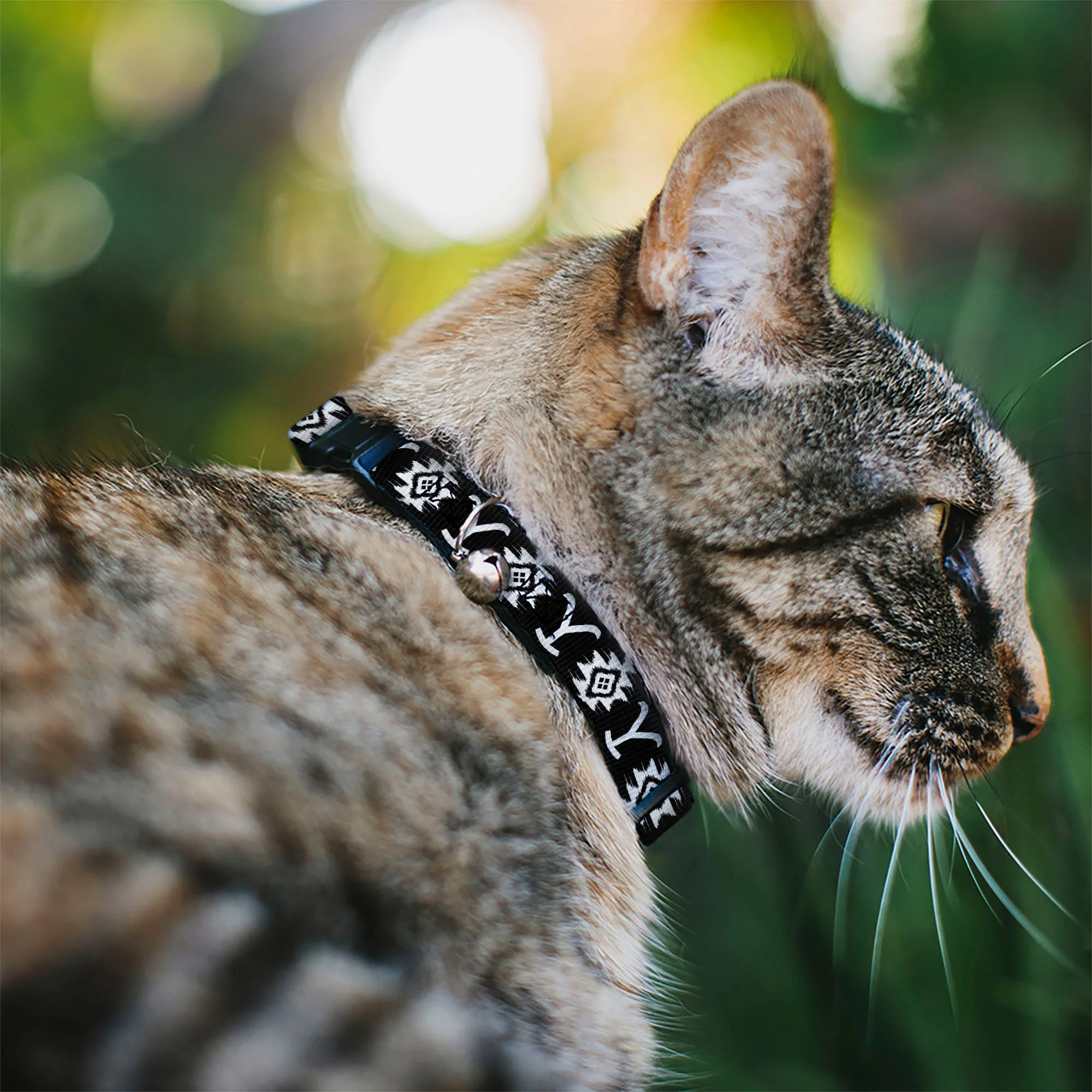 Yellowstone Dutton Ranch Native Icons Breakaway Cat Collar - Image 2