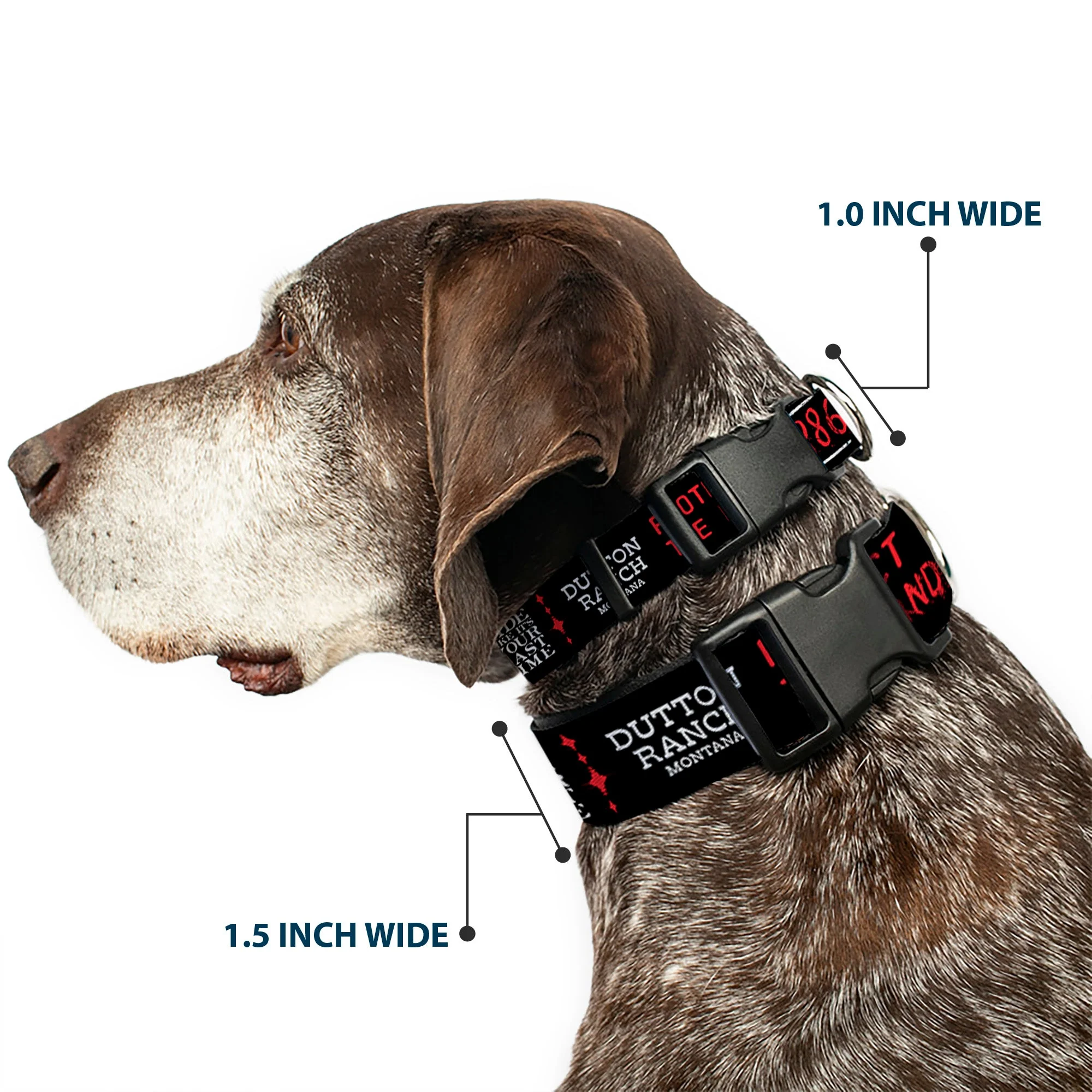Yellowstone Dutton Ranch 1886 Icons Plastic Clip Pet Collar - Image 2
