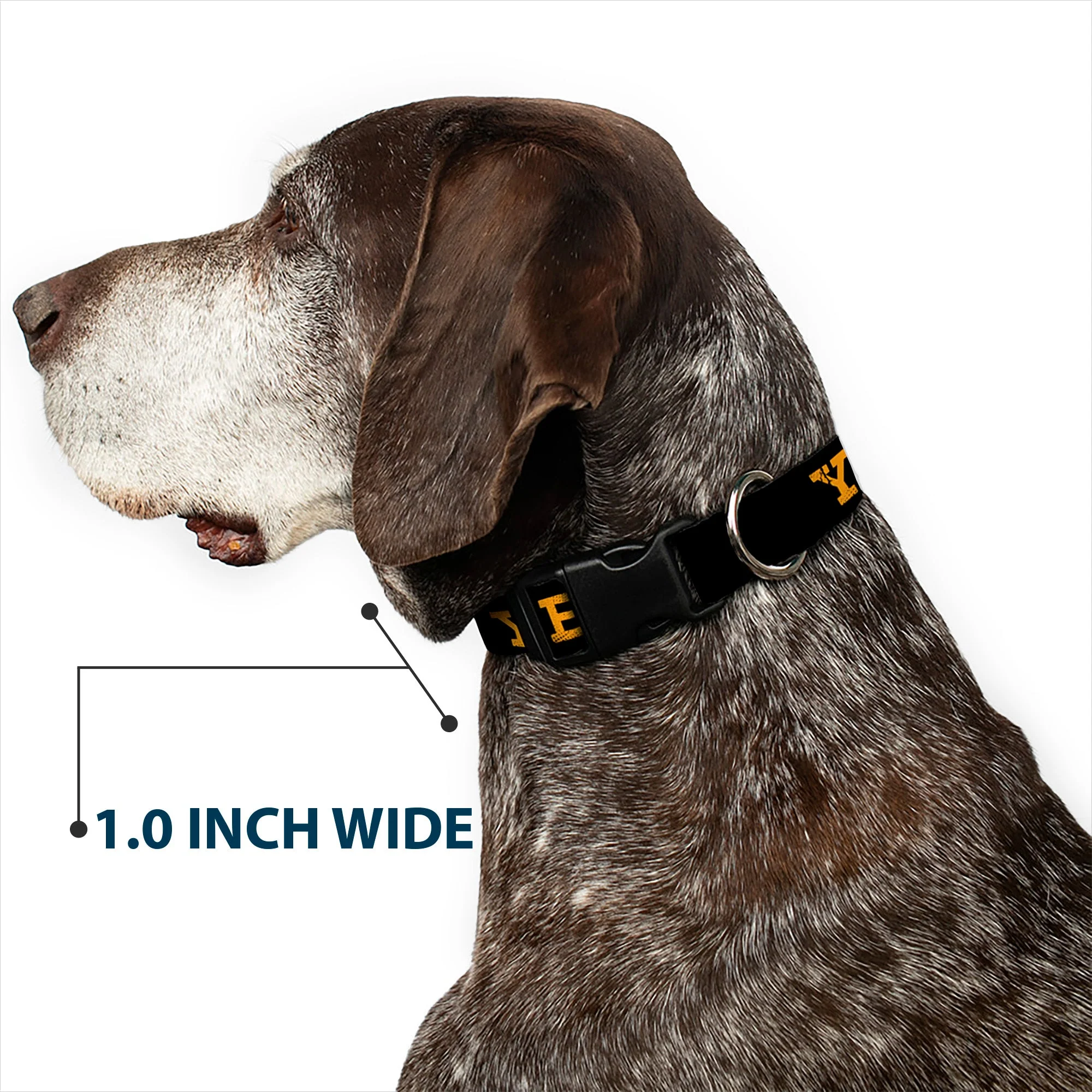 Yellowstone Text and Y Logo Weathered Black & Orange Pet Collar - Image 6