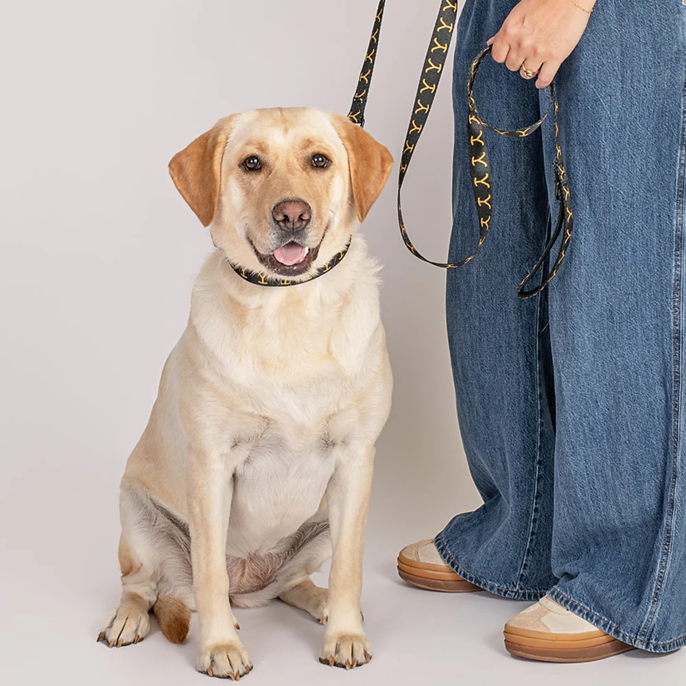 Yellowstone Logo Pet Leash - Image 3