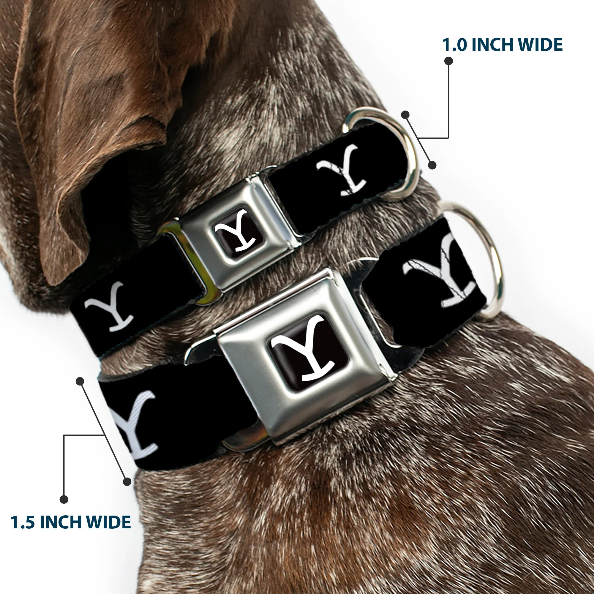 Yellowstone Y Logo Black/White Seatbelt Buckle Pet Collar - Image 2